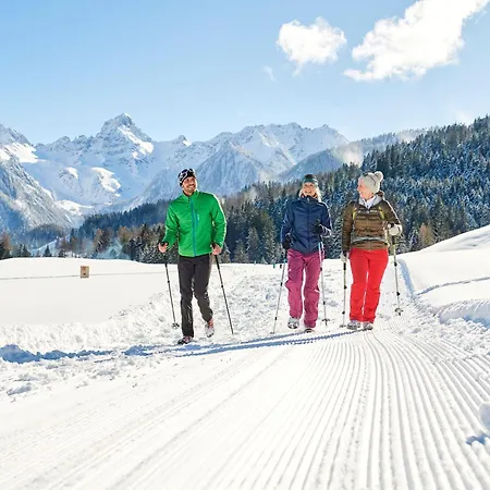 Valbona Blick By A-appartments Apartmán Bürserberg